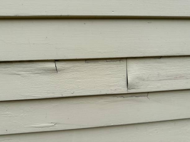 Custom Trim and Detailing for Siding in Twin Lakes, CO